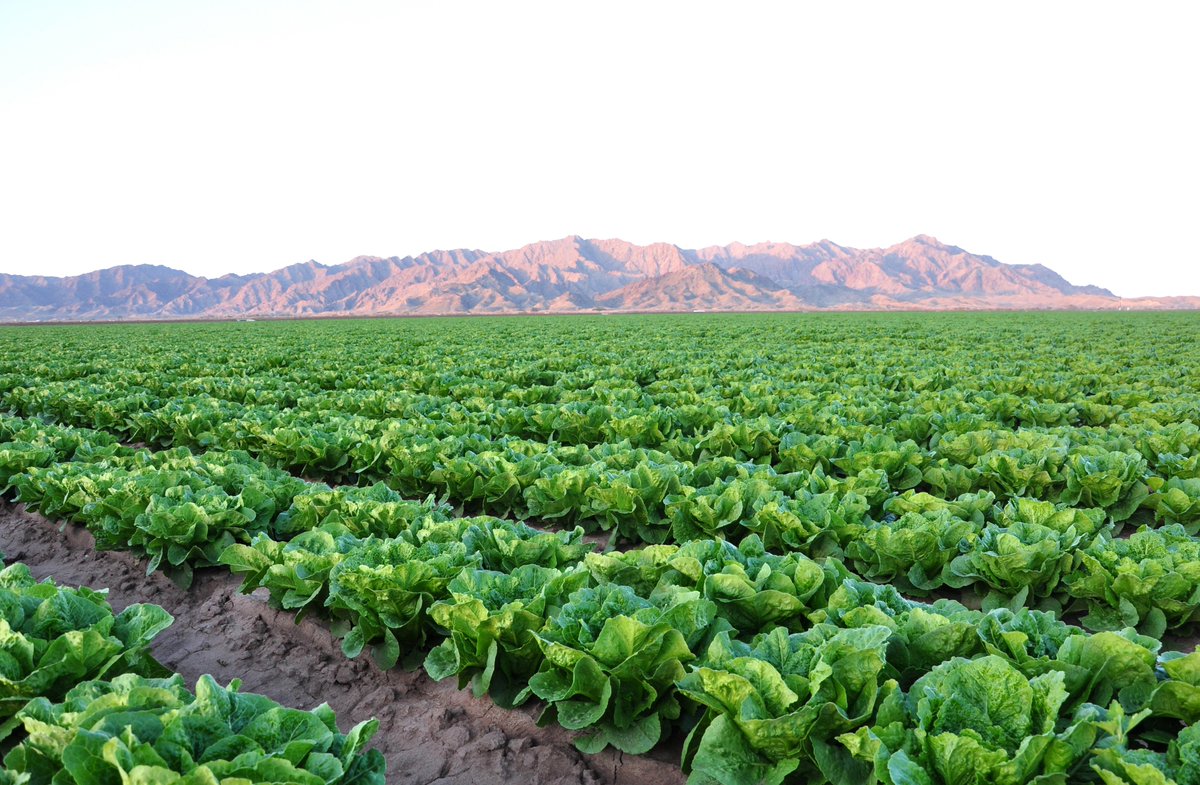 Food recalls seem to be happening every day. What's going on? Read how changes in regulations and rising consumer expectations are combining to frighten you -- often unnecessarily. bit.ly/2KSrpkd