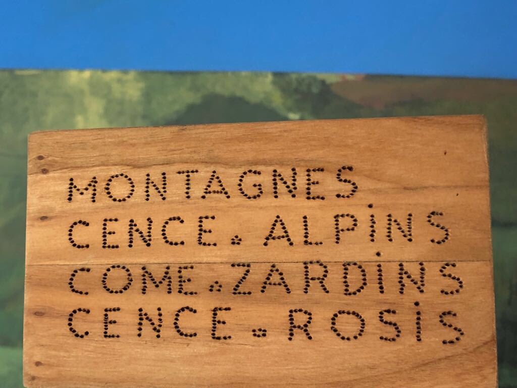 EGardini's tweet image. “Montagne senza alpini come giardini senza rose”. 
#Alpini #alpiniadunata2018 #adunataalpini #Trento #GrazieAlpini #ForzaItalia