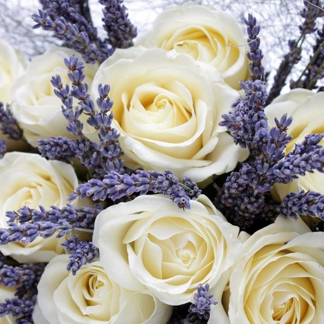 Ana1997007's tweet photo. Keep things simple, keep things elegant, keep things classy https://t.co/v7lNwqMBEp