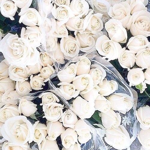 Ana1997007's tweet photo. Keep things simple, keep things elegant, keep things classy https://t.co/v7lNwqMBEp