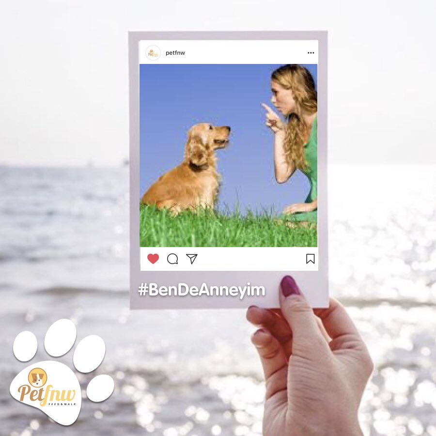 Sen de bugün, evcil hayvanın ile fotoğrafını #BenDeAnneyim hashtag’i ile bizi etiketleyerek paylaş 🤳🏻sosyal medya hesaplarımızda yayınlayalım! ❤️#SenDeAnnesin #AnnelerGünü