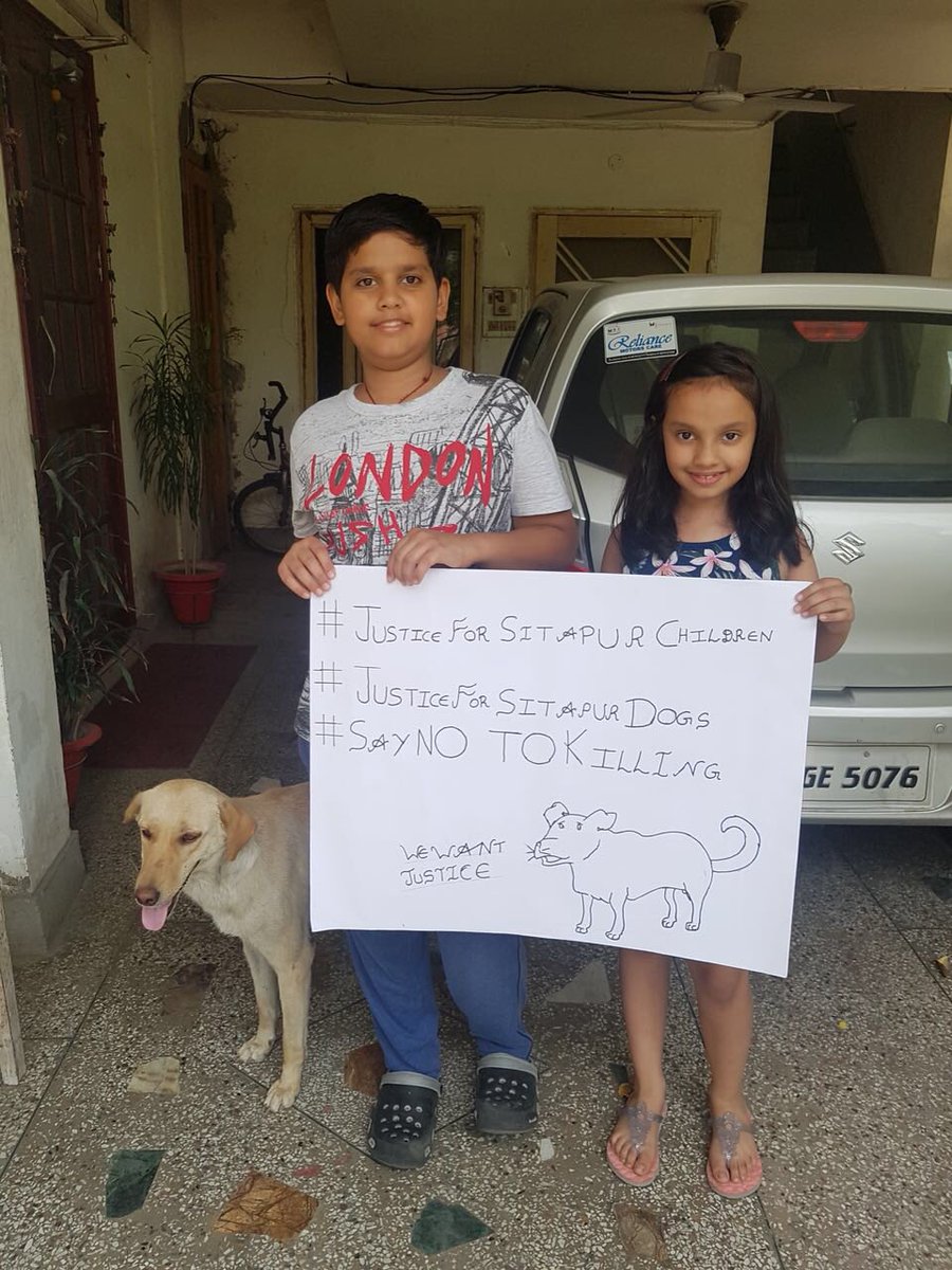 PandeyKamna's tweet photo. Children are sending their appeals to #stopkillinginnocentdogs But who is going to listen? @myogiadityanath Pls continue to support till we can stop the dog killings. We owe it to them. 🙏🏻 #justiceforsitapurdogs #SaveSitapurDogs #SaveDogsToSaveChildren #SaveSitapurChildren https://t.co/wgtyIFihJm