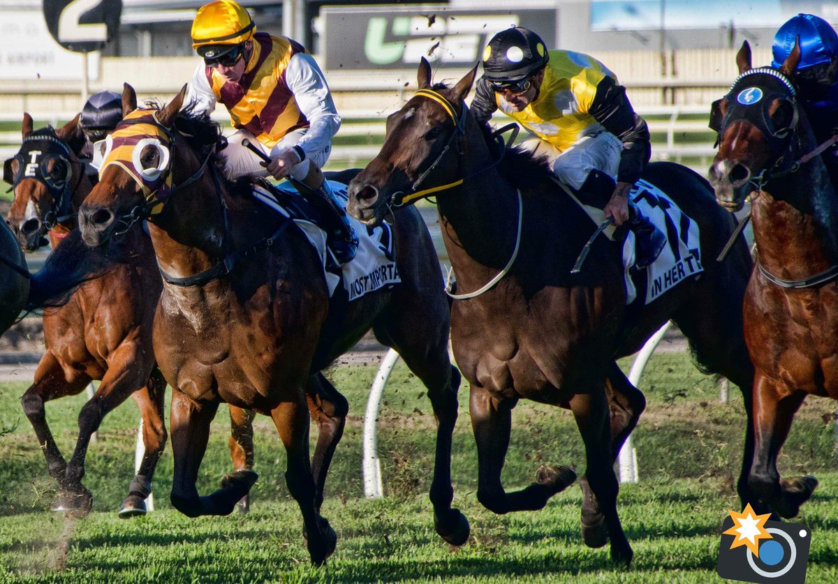 kurtyeckert's tweet image. Had the best time yesterday at the #Doomben10000  and was amazing to be able photograph two of my all time favourite horses, Love this time of year.
 #winterracing #inhertime #leromain @BenSmithRacing1 @LeesKris @DoombenRacing @BrisRacingClub @SkyRacingAU