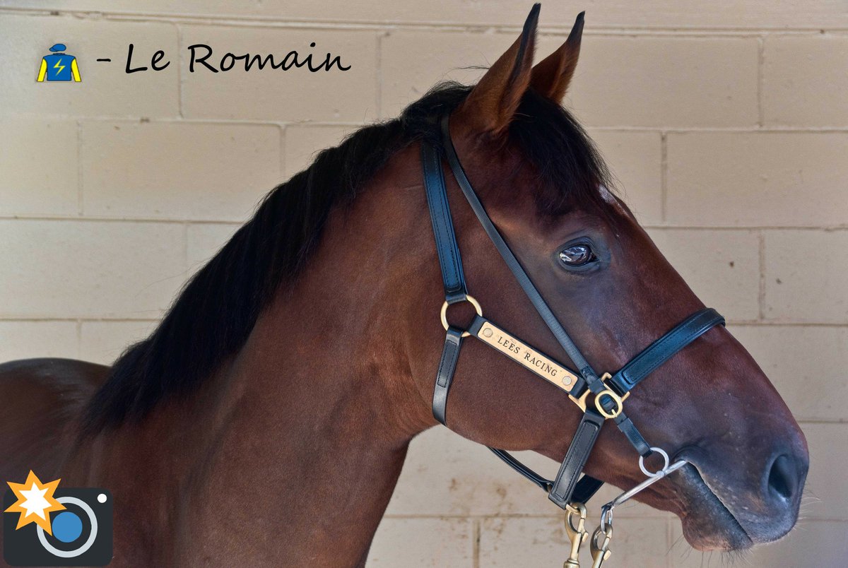 kurtyeckert's tweet image. Had the best time yesterday at the #Doomben10000  and was amazing to be able photograph two of my all time favourite horses, Love this time of year.
 #winterracing #inhertime #leromain @BenSmithRacing1 @LeesKris @DoombenRacing @BrisRacingClub @SkyRacingAU