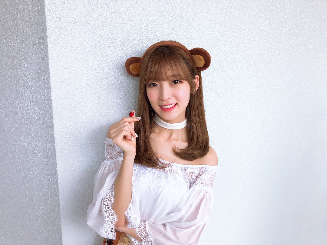 arin pics tweet media
