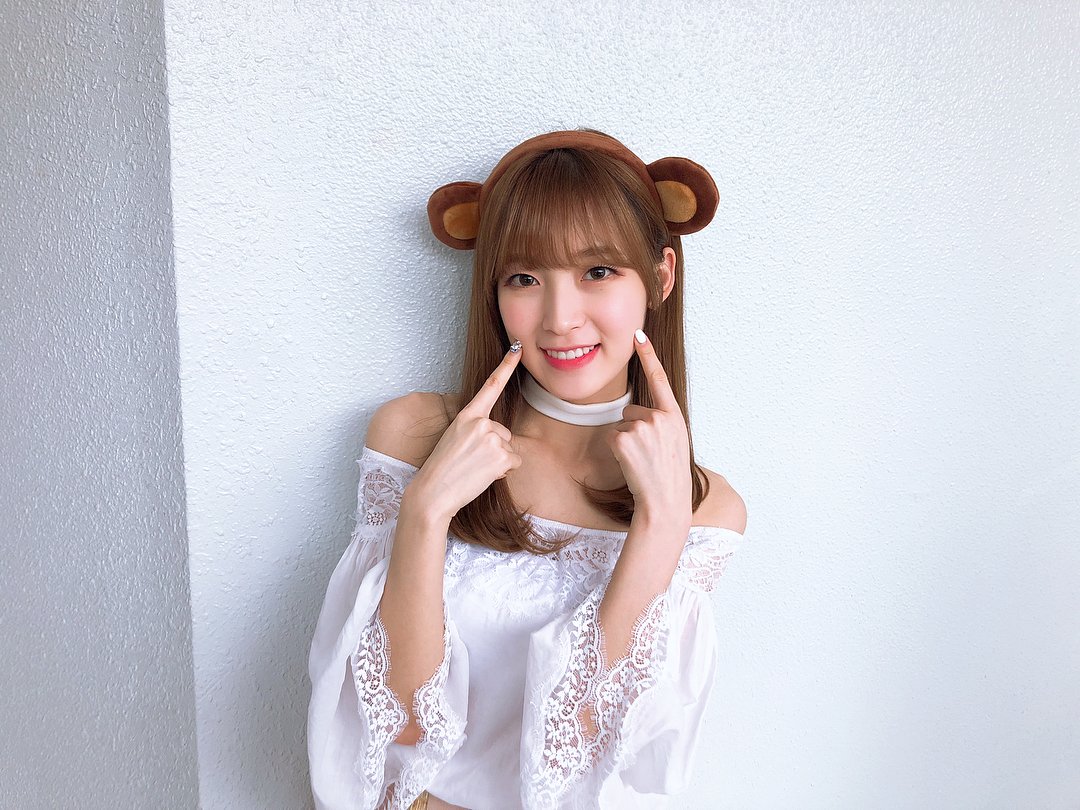 arin pics tweet media