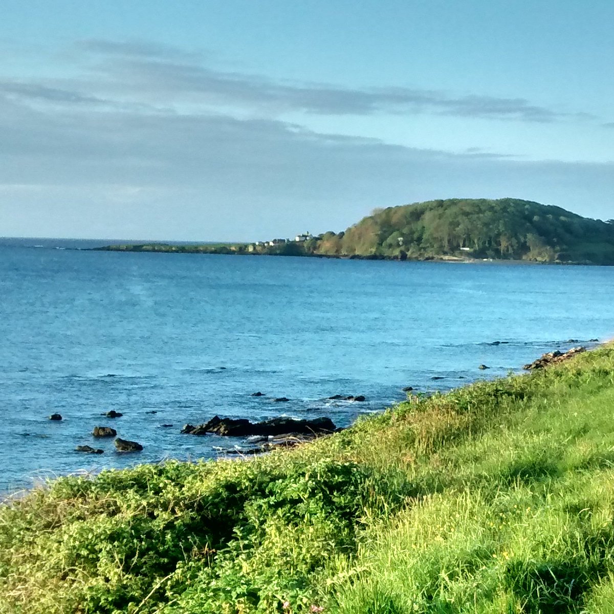 Adrian Clark tweet media