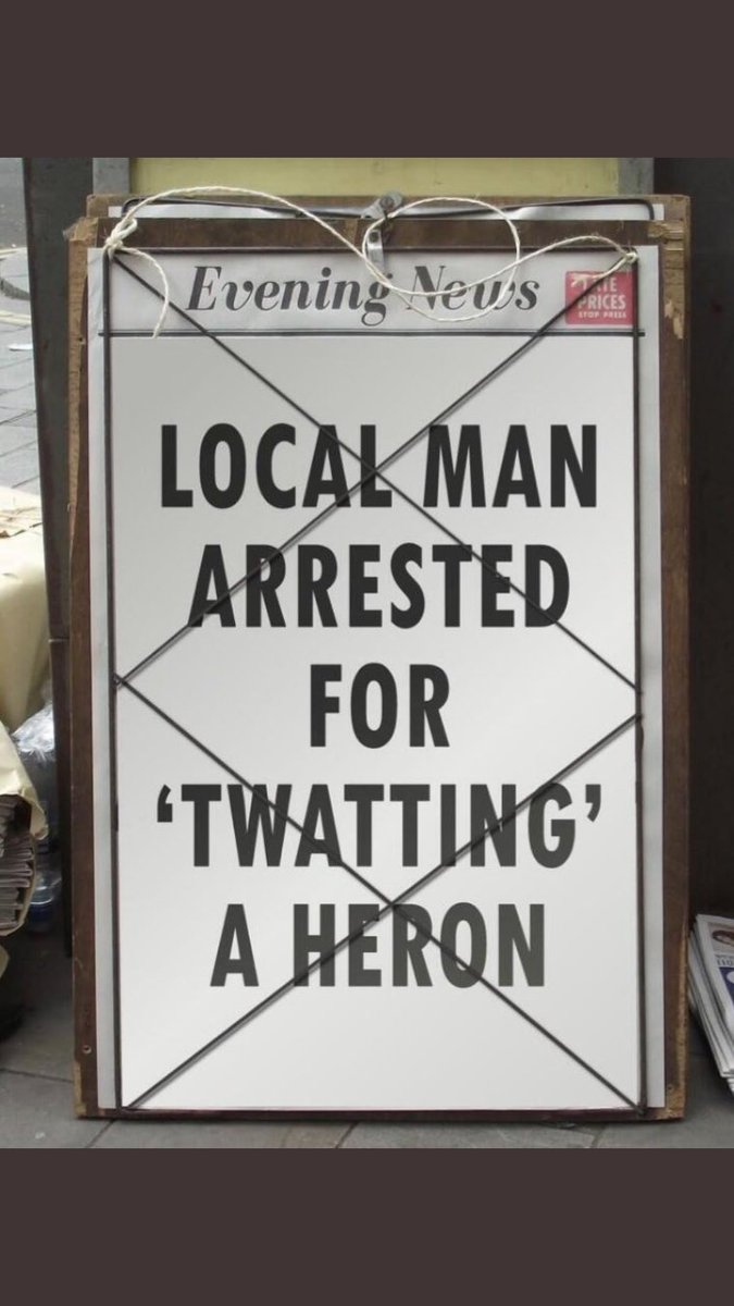 notaylott's tweet image. Local news round-up #AlienFunCapsule