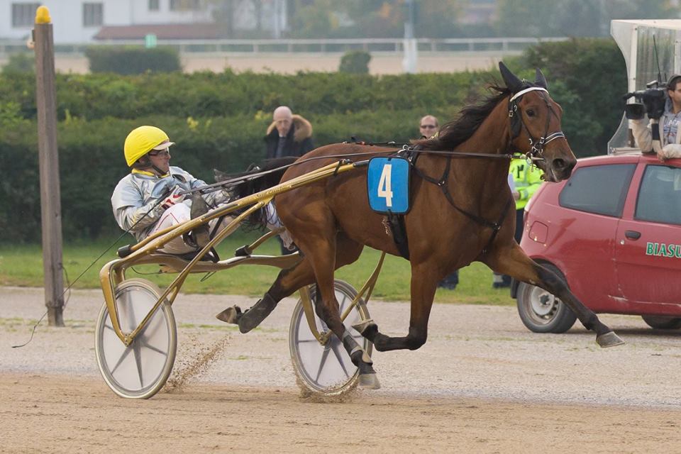 Joe_Zagari's tweet photo. #ZarinaRoc 🇮🇹 #FillipRoc won Premio Carlo Cacciari Filly Group 2⃣ on #IppodrooGhirlandina with #VPDellAnnunziata in 1.14.0 on 1600 over #ZivaEk and #ZonaDa https://t.co/bbcAqJ3XyB