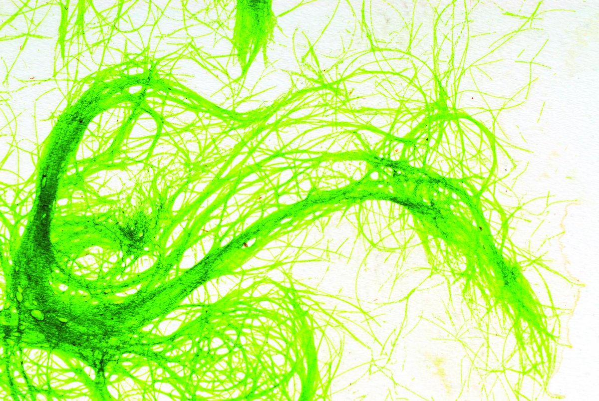 nutritionalo's tweet photo. Allmicroalgae’s chlorella gets EU organic certification ahead of Vitafoods Europe https://t.co/6WRUhjau2w #chlorella #microalgae #allmicroalgae #VitafoodsEurope https://t.co/NIDiDZQxjf