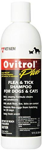 lovecat247's tweet photo. Vet-Kem Ovitrol Plus Flea ...
--> https://t.co/83wVqJP2BV
#cathouse
#cattoy
#cat
#pet
#cats
#ilovecats
#kitten
#catsupplies
#livbha https://t.co/micaz3kN3X