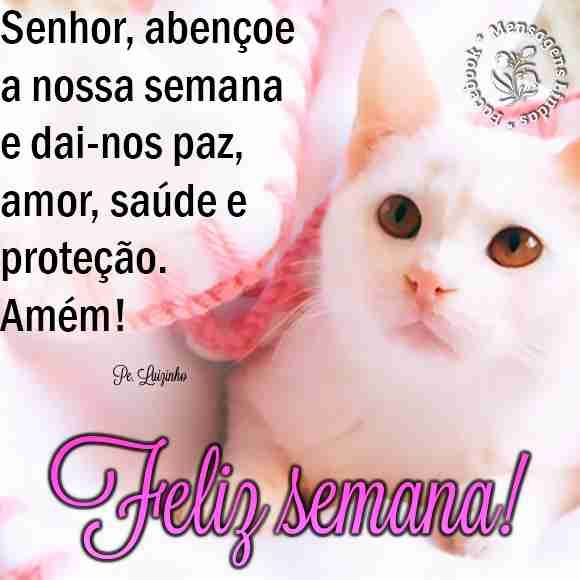 SimoneEsteves15's tweet photo. @FabiRose1962 Boa tarde Fabiana e bom domingo … beijos https://t.co/zOsgchScYt