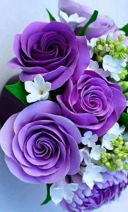 SimoneEsteves15's tweet photo. @SanWAxl @axlrose Ótimo domingo Sandrinha e feliz dia das mães pra você … beijos https://t.co/l2AE4fPNmb