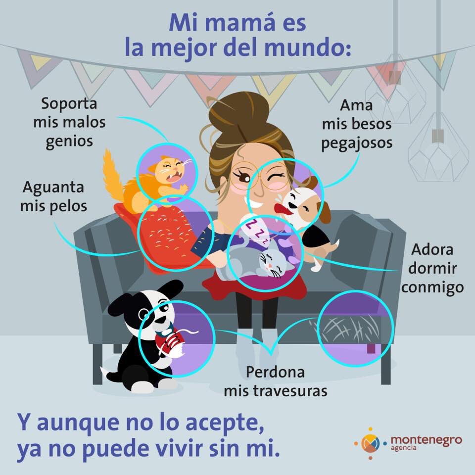 montenegroco's tweet photo. ¿Eres mamá de peluditos? Claramente no te podíamos olvidar. Feliz #DíaDeLasMadres https://t.co/b6fJY9yl0D
