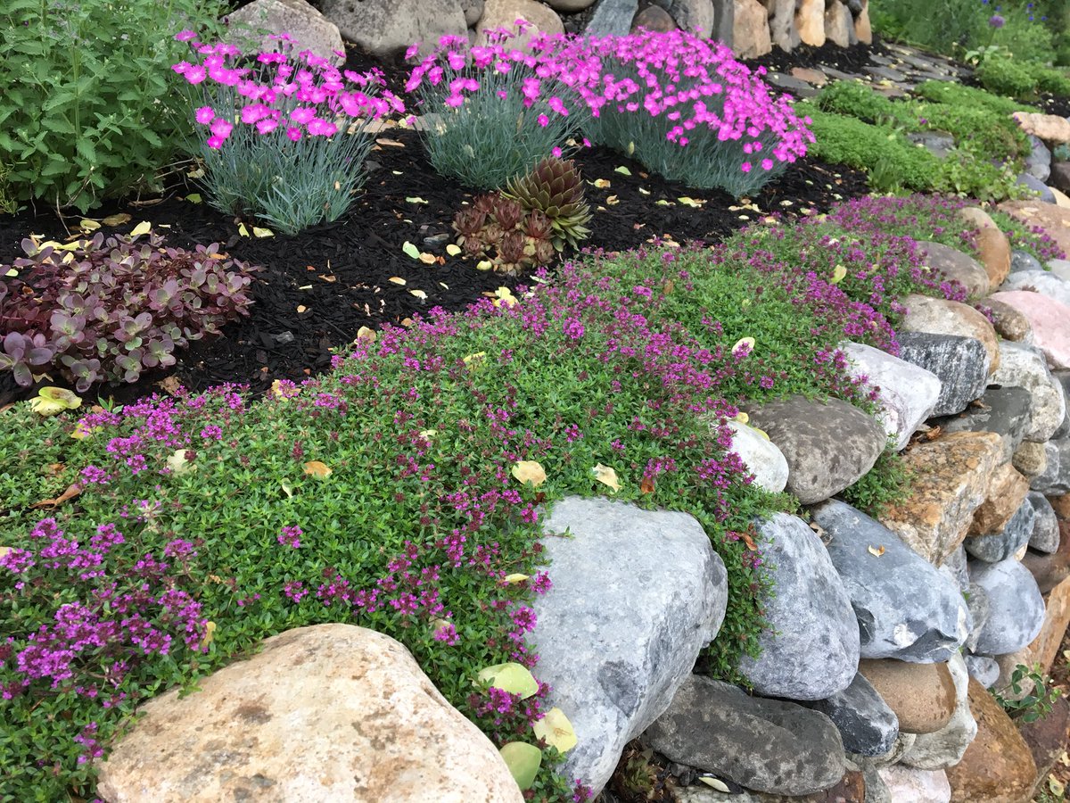 MrsLeslieMay's tweet photo. A stroll through the gardens in the rain 💐 🌸 🌺 https://t.co/EQAHnSLjTt