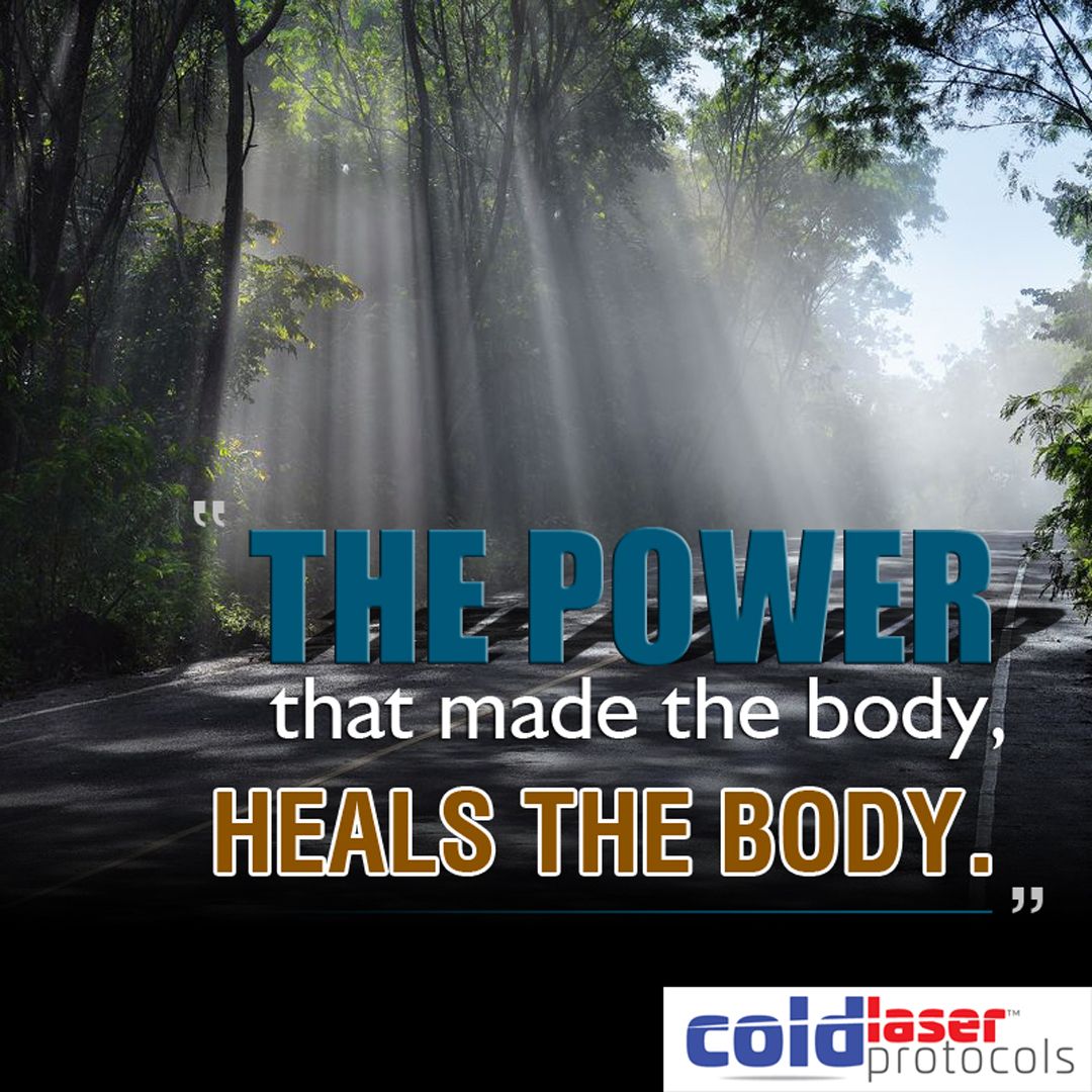 Coldlaserproto's tweet image. It makes sense when you think about it.

#coldlaserprotocols #coldlasertherapy# #chiropractors #chiropractic #alternativehealthcare #naturalwellbeing #healthy #wellness #painreduction #jointpain #painnomore #reducepain #increaserevenue #preventionbetterthancure