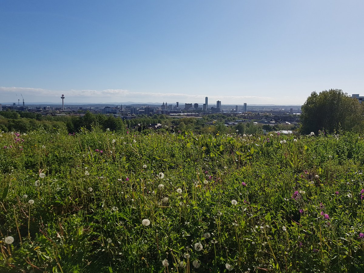 YOLiverpool's tweet photo. Everton Park has stunning views across #Liverpool, #Wirral and #NorthWales https://t.co/tGsdIP56FV
