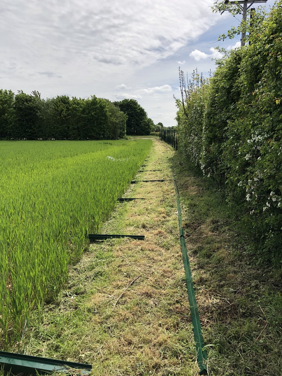 stirlindev's tweet photo. Exciting times @kirksyard as we start to focus on enabling works, security fencing &amp; site preparation works. #Branston #Lincoln #development #property https://t.co/ayH67CbgsY