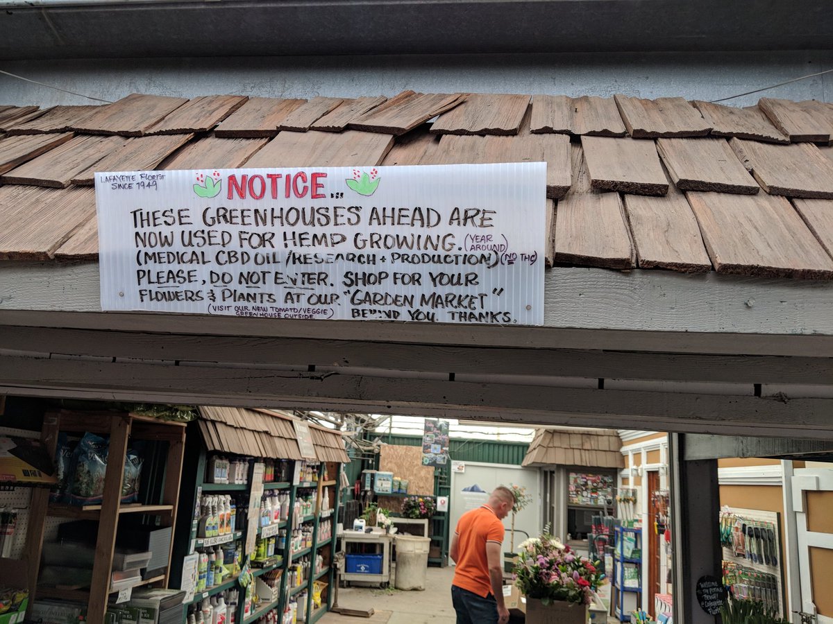 Bob Wold (@bobwold) on Twitter photo My local greenhouse went a little too #green, and the selection of seedlings for my raised beds is looking slim.
#plant18 My local greenhouse went a little too #green, and the selection of seedlings for my raised beds is looking slim.
#plant18