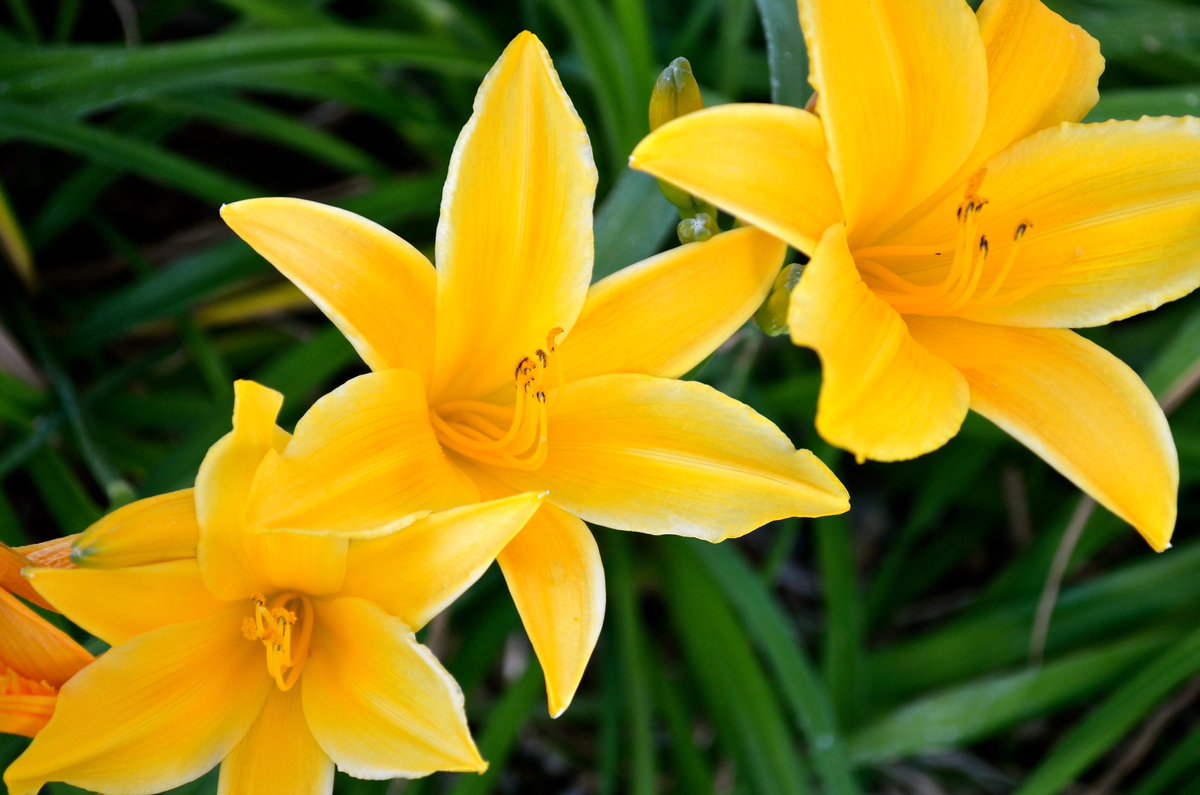 bbprinc's tweet image. Hi - Happy Mother's Day!