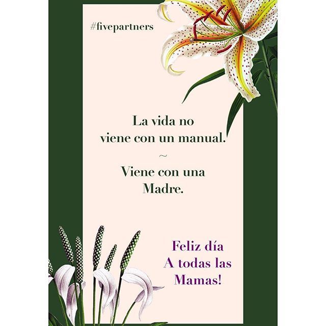 finanzasfive's tweet photo. Feliz día a todas las madres en su día! Sin una seriamos seres incompletos! #felizdiadelasmadres #fivepartners https://t.co/ZVIgUSl1Vj https://t.co/so2wABvb3m