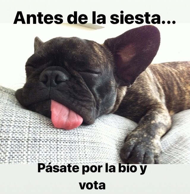MLSevillano's tweet photo. Antes de la #siesta del #domingo... ¡#vota #WalkingAgain para @RetoTech! https://t.co/aHGHwaYAv4
#STEM #tecnology #science #robot #robotics #bq #3dprinting #Ironman #sport #medicine #exosqueleton #exosuit #run #runners #sport #learningbydoing
#felizdomingo @BQEducacion  @bitbloq https://t.co/sgot6EtMzC