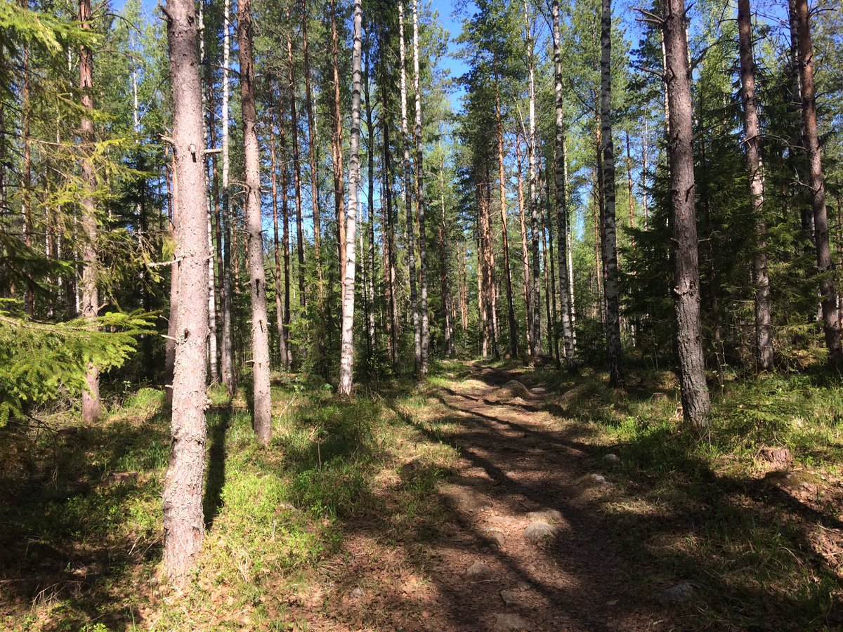 Aurinkoista äitienpäivää 🌸🌼🌺 vielä ehtii ilmoittautua polkujuoksun treeniryhmään! Luvassa Tampereen parhaat lenkkipolut ja opastus polkujuoksun saloihin! Lisätiedot ja ilmoittautuminen: nicetrail.fi/treeniryhma/