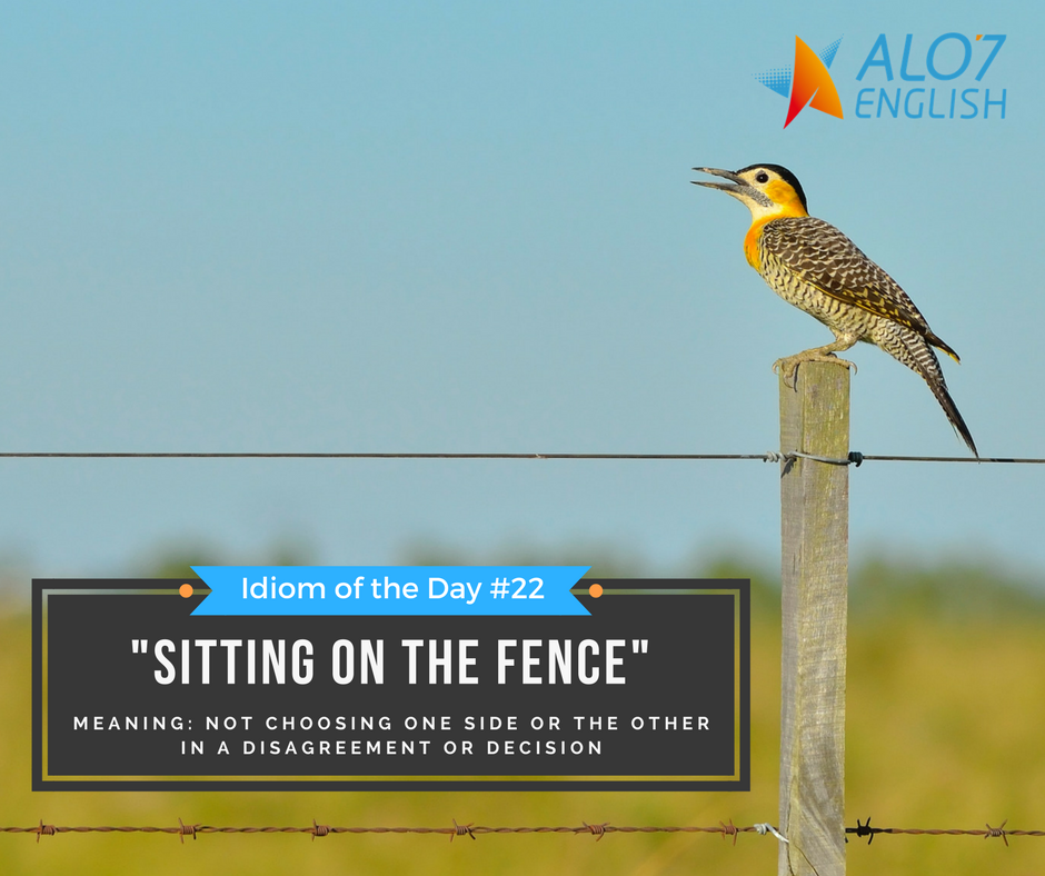 Alo7English's tweet photo. Idiom of the Day #22-- "Sitting on the fence." Follow ALO7 to learn more idioms each week.
#ESL #LearningEnglish #Teach #TESOL #TEFL #ESL #learnEnglish #speakEnglish #English #tutor #workfromhome #workfromanywhere #wahm #wahd #homeschooling #sidegig #parttimehours #flexible https://t.co/qvwhXxLJzf