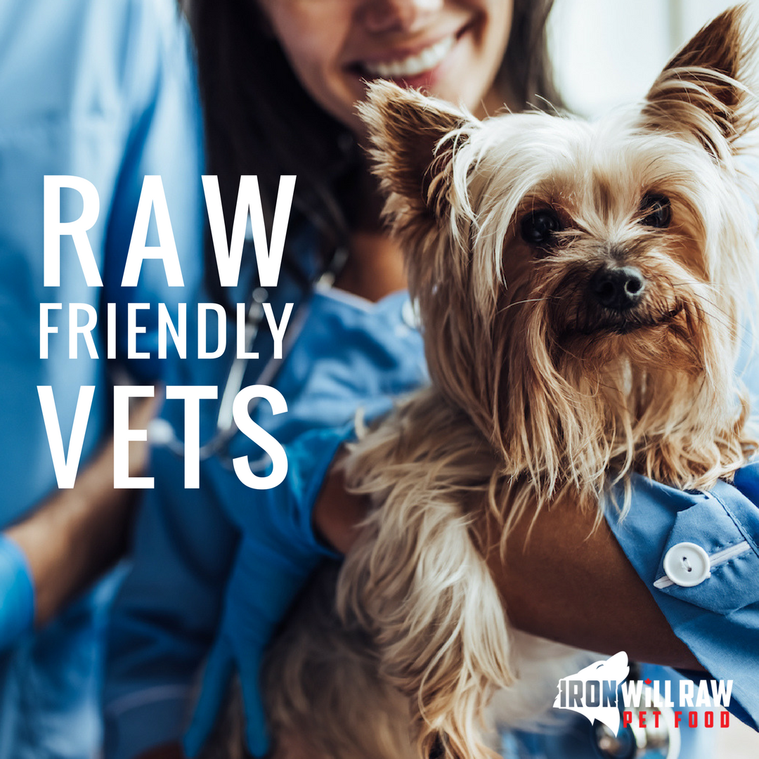 ironwillraw's tweet photo. Looking for a Raw friendly vet it your area? We’ve created a list of noted raw friendly vets from across Canada.
If you are a vet or know of a vet missing from our list please email us at info@ironwillrawdogfood.com. https://t.co/5RSmJtTXYM
#ironwillraw #rawrevolution https://t.co/UXZa26vksY