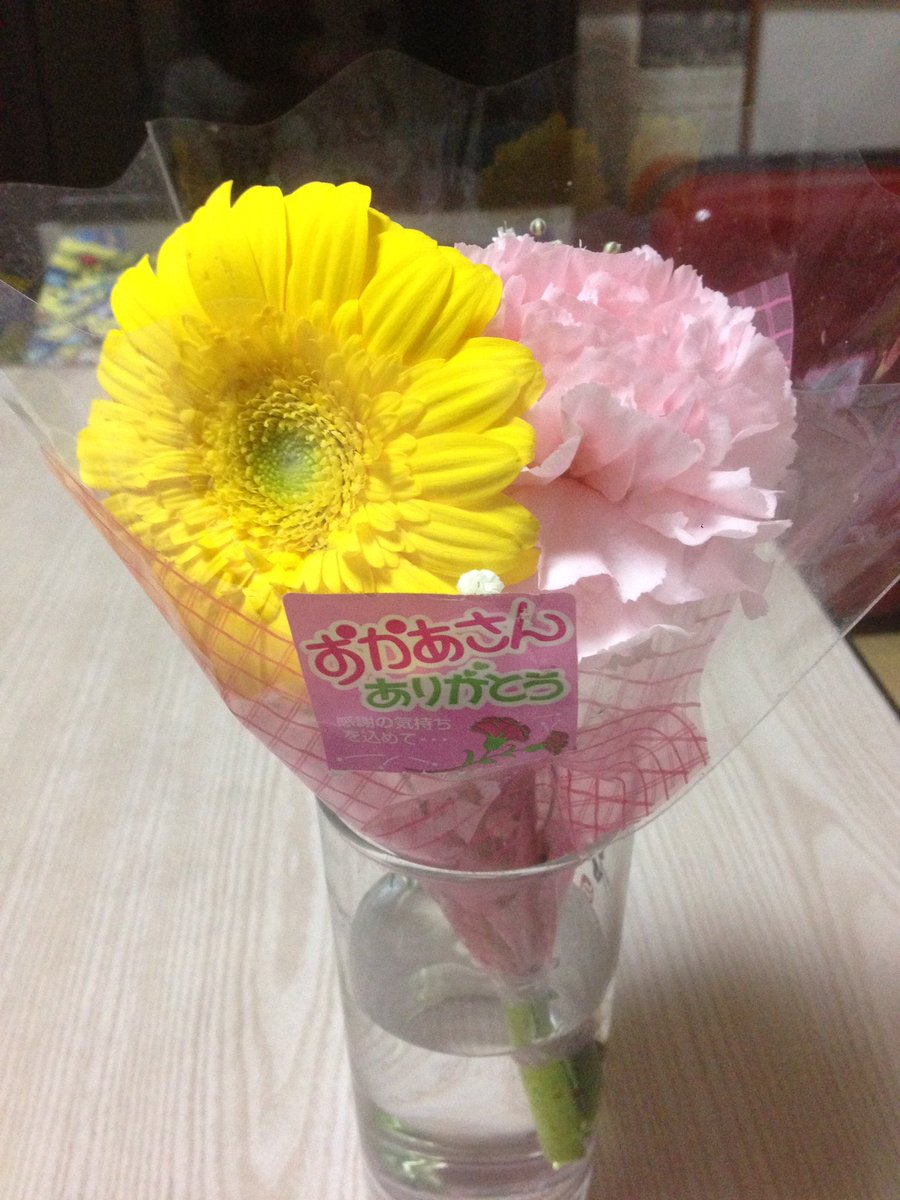 masabixtuti's tweet photo. カーネーション💗 https://t.co/JDiar4xspf