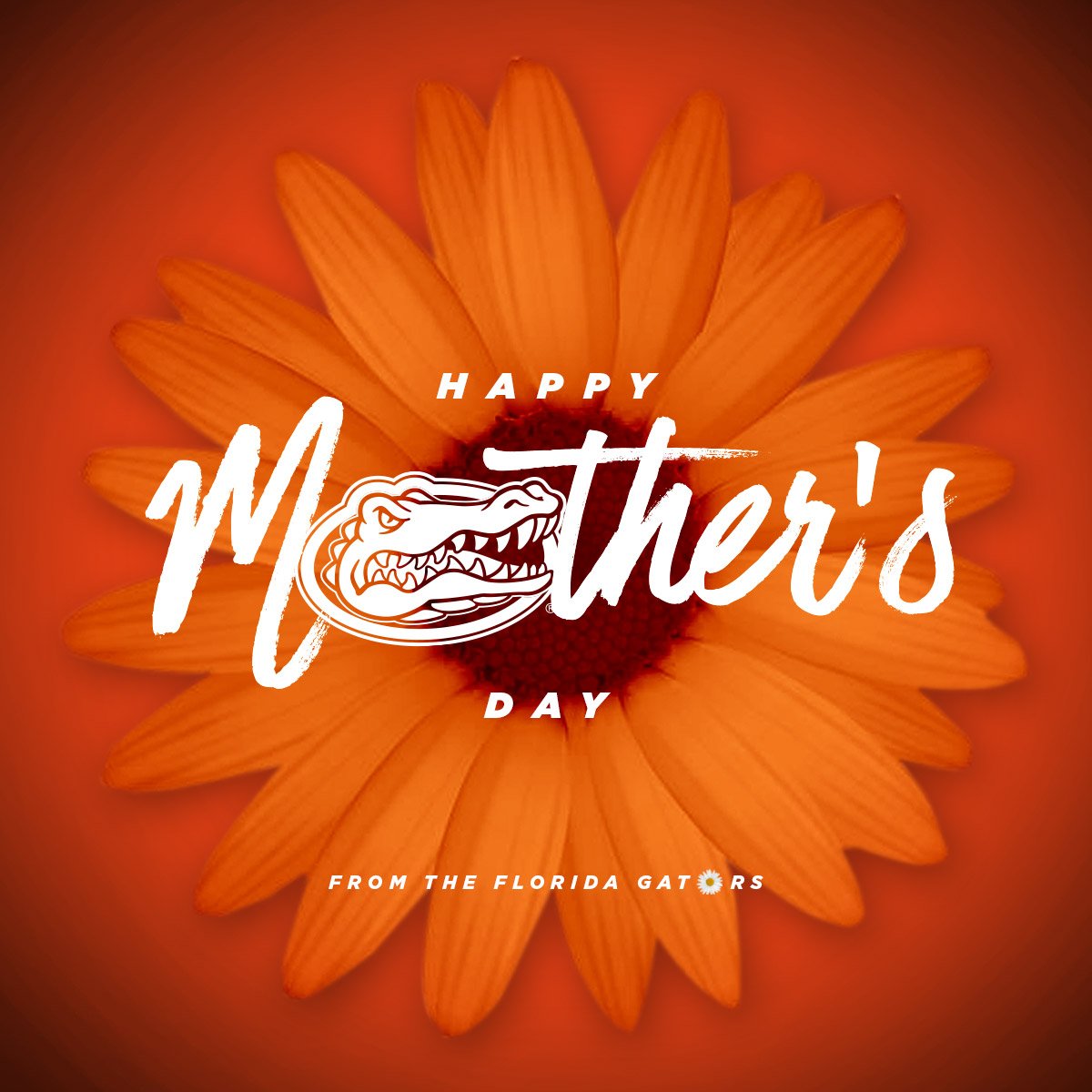 FloridaGators's tweet photo. Happy Mother's Day!
#GoGators https://t.co/VolB86c1UT