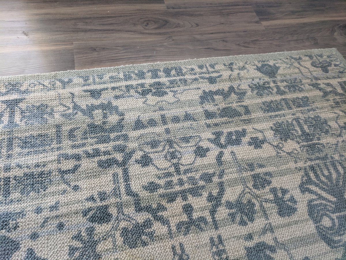 Huh... Garfield's in my rug