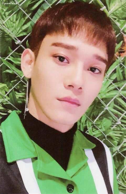 honeyjoohoshi's tweet photo. I'M SO HANDSOME!
#MostHandsomeGuy https://t.co/d1djSQOLBH
