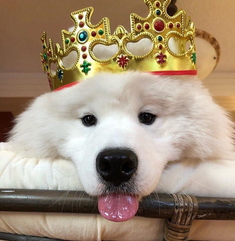 phabfahxdaniel's tweet photo. @HAREMONHX ภาพฟ้า
แดเนียล
ขอลาถึงวันที่ 17 ครับ 🤟🏻💘 https://t.co/mZHD5rGuDA