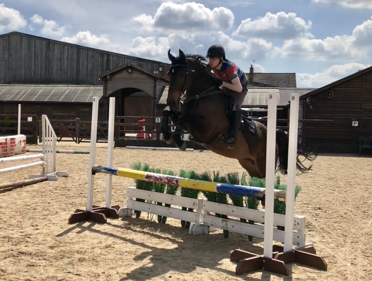 TheParaRiderMD's tweet photo. It is so incredible to bring our confidence to jump the 85cm fence which was really big to jump together, so really proud of Womble despite how strong he has been today!! 🐎⭐️👏🏻

Our video of this fence will be posted soon - keep eye on this!! 😃 https://t.co/a9KkRJSiaG