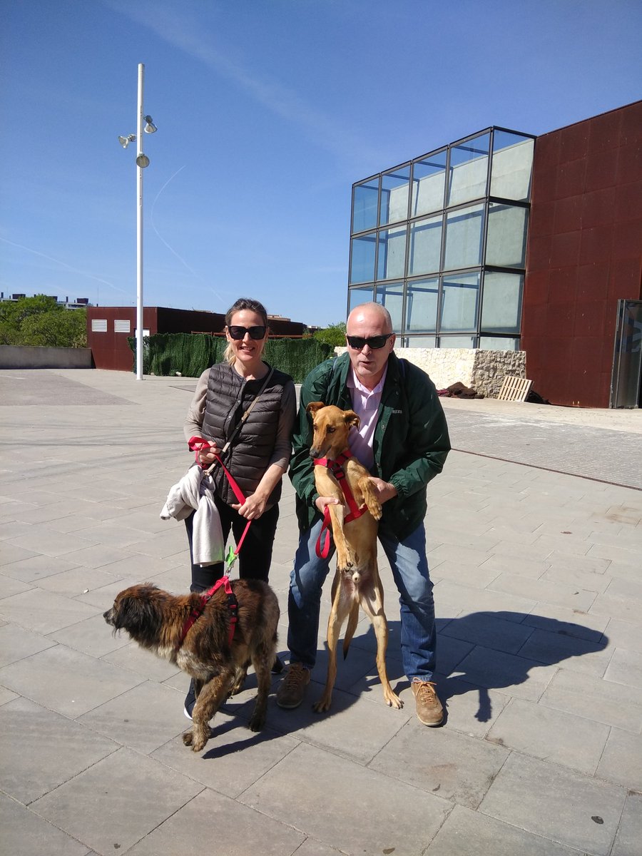 krispascualgar's tweet photo. Fantástica jornada en @Bioparc en el desfile de perros sin hogar. Gracias @aupa_ . Repetiré encantada,.aunque mis pequeños modelos no han tenido la suerte de encontrar familia,seguro pronto la encuentran porque son un amor! Albano y Gustavo😍 https://t.co/wlnxS9gS2Y