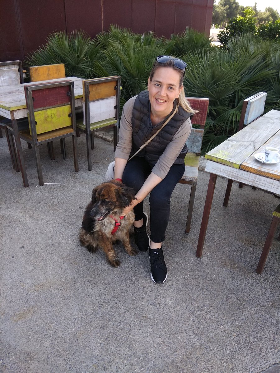 krispascualgar's tweet photo. Fantástica jornada en @Bioparc en el desfile de perros sin hogar. Gracias @aupa_ . Repetiré encantada,.aunque mis pequeños modelos no han tenido la suerte de encontrar familia,seguro pronto la encuentran porque son un amor! Albano y Gustavo😍 https://t.co/wlnxS9gS2Y
