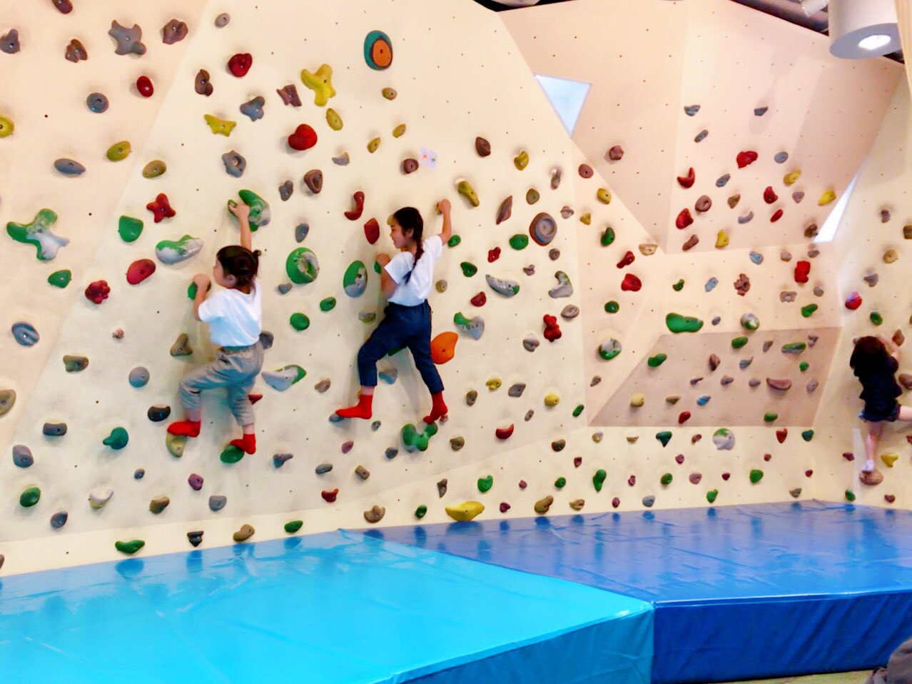 スペースアスレチック Twitter Search Twitter