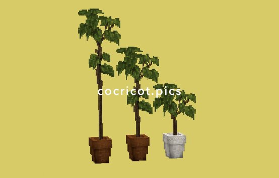 きぃこ 𝘒𝘪𝘬𝘰 Di Twitter メニューイーゼルと 鉢植え の観葉植物ができました イーゼルは置いた方向に向くよ そして 観葉植物は 好きに縦に伸ばせるし 植物の種類はそのまま 鉢の種類を変えられる仕様 テクスチャは暫定 Minecraft