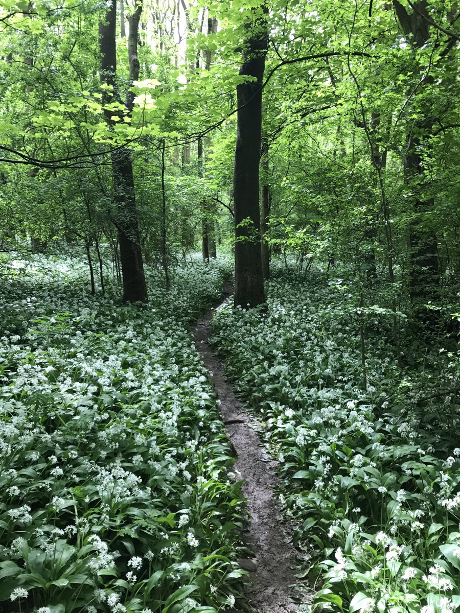 stevehigh4's tweet photo. Bit of everything today, exploring #singletrack, old golf courses & industrial areas on @bikeonscott @LincsSkies #aatr #goride, #mudplugging #dirtjunkiez https://t.co/dw0CmpaXIP