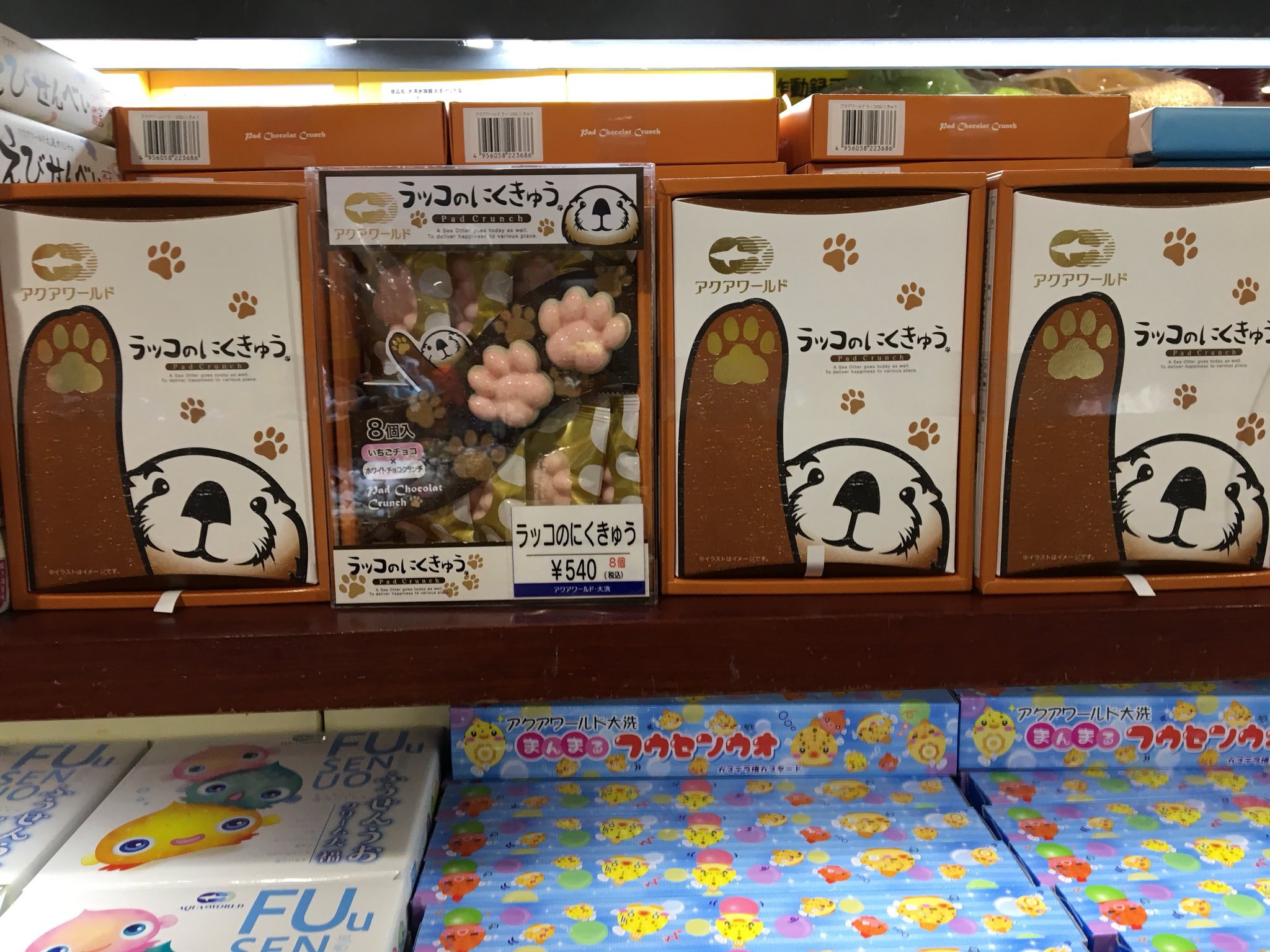 りゅうあ ラッコのにくきゅう 540円 サイズ約14 5 19 3 5cm ラッコ アクアワールド 大洗水族館 お土産 チョコレート T Co Nceb7mkqmi Twitter