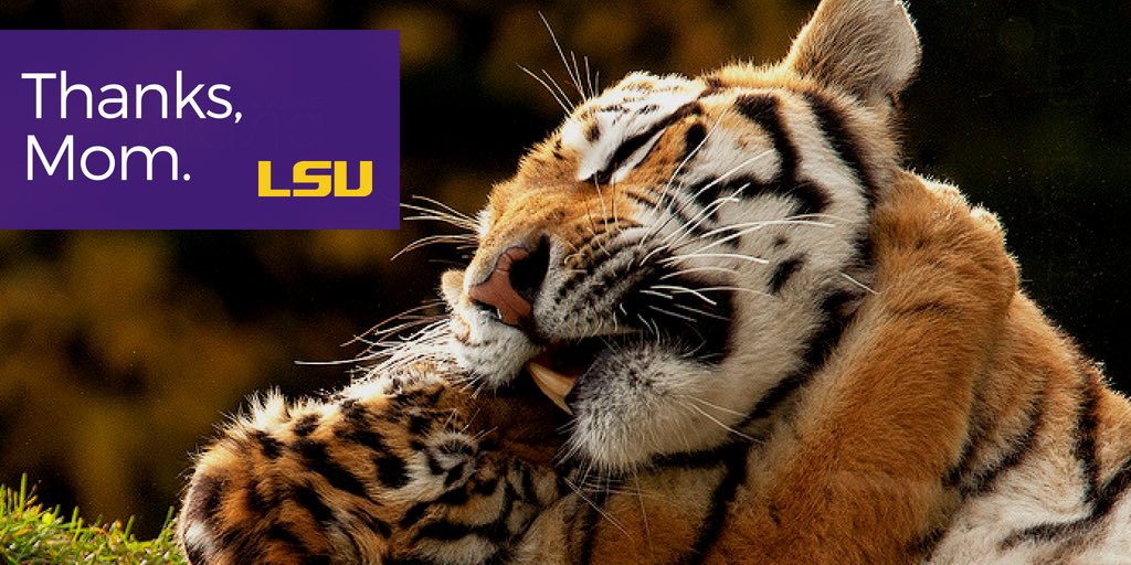 LSU students tweet media