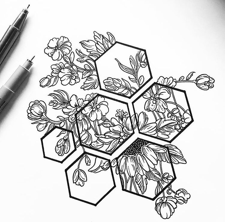 theartindex's tweet photo. #emergingart by Georgina.A, a fabulous illustrator specialising in #nature and #plants! 🍃 Want to see more undiscovered talent? 🎨 Follow us on our #instagram page. @ArtsAward @ace_southeast https://t.co/u9pYcT6bua