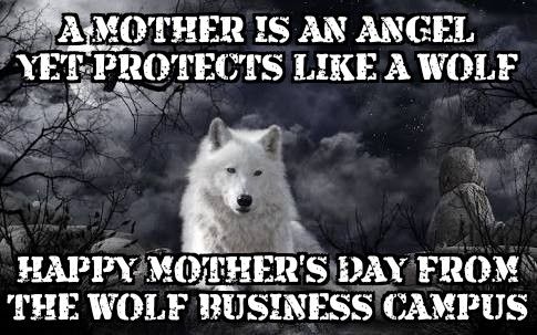 dancarsonwolf's tweet image. 