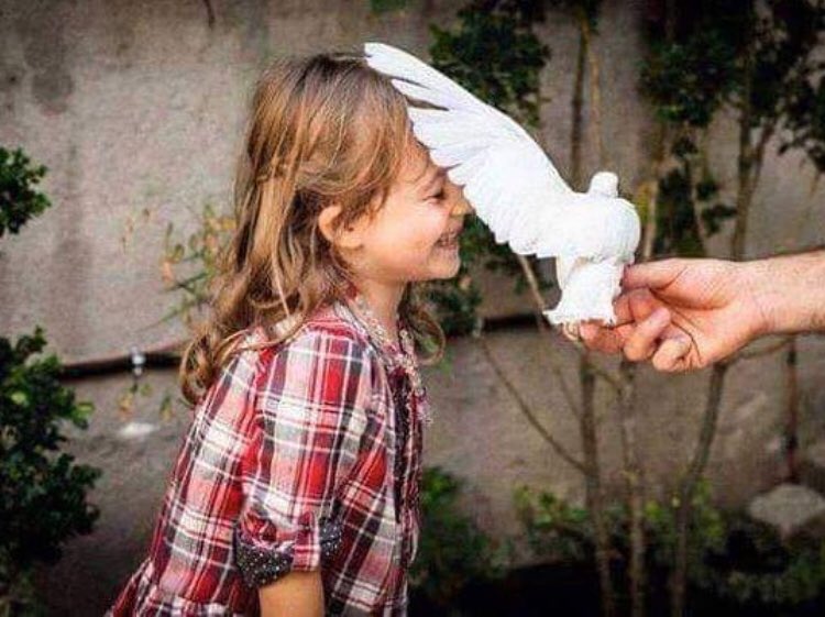 انا لم آت لاعطيك شيئا جديدا ، لقد اتيت لاخراج جمالا لم تكن تعرف انه موجود فيك... 💜🦋