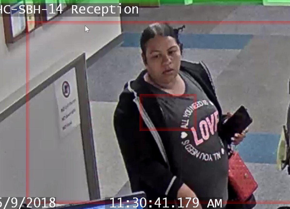 CrimeWatchMpls's tweet photo. Two women suspected of stealing a dog from Sabathani on Wednesday https://t.co/FfOWGAMxwh #Mpls #Minneapolis #DogsofMpls #DogsofNokomis #Seward #Powderhorn #Kingfield #Lyndale https://t.co/wsKwUTNS2W