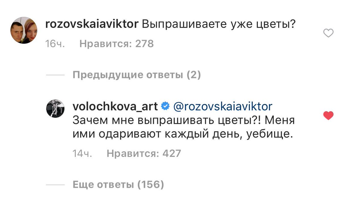 my soul and inspiration волочкова_арт 🕊