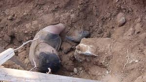 Radiante957Fm's tweet photo. Muere joven tras caerle alud de tierra en minas de Sipao https://t.co/52hppgUYOZ https://t.co/myB8hm19FA