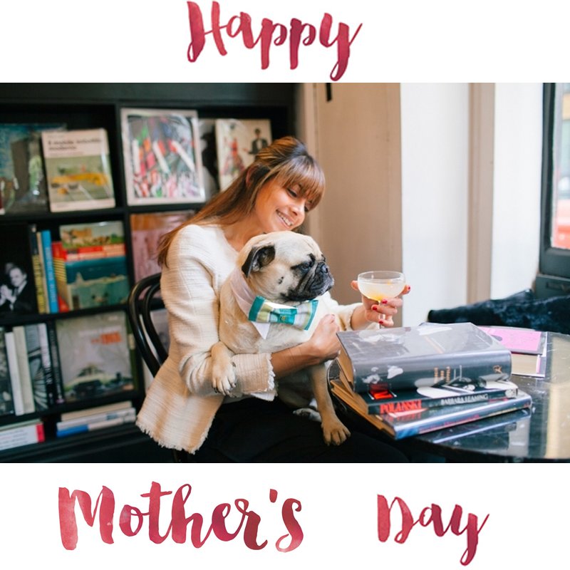 pupaholic's tweet photo. Too early for cocktails? 🍸🍷🍹Not for moi on a so special day. #salut #baecation #mother'sday

Happy Mother's day to all the #pupaholiclovers mom's on their special day. We love you!  #mom #love #doglife #lovedogs #pup #pupaholic #moms #dog #dogs #love #appreciate #sunday https://t.co/xIIQqfr8X3