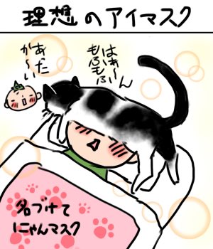 おやすみなさい?('・ω・`)? 